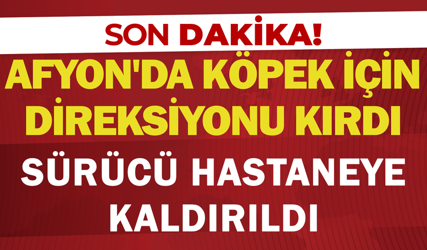 Afyon'da köpeğe çarpmamak isterken kaza yaptı: 1 yaralı
