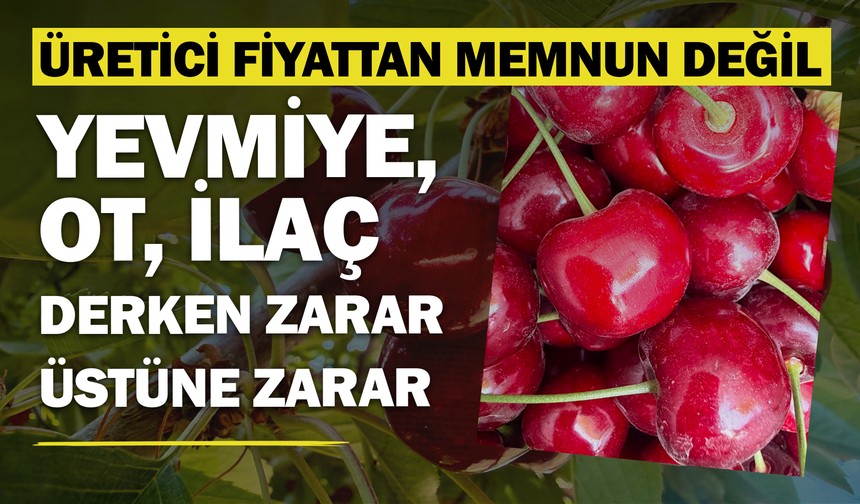 "Yevmiye, Ot, İlaç Derken Zarar Üstüne Zarar": Sultandağı'nda Üretici Kiraz Fiyatına İsyan Etti