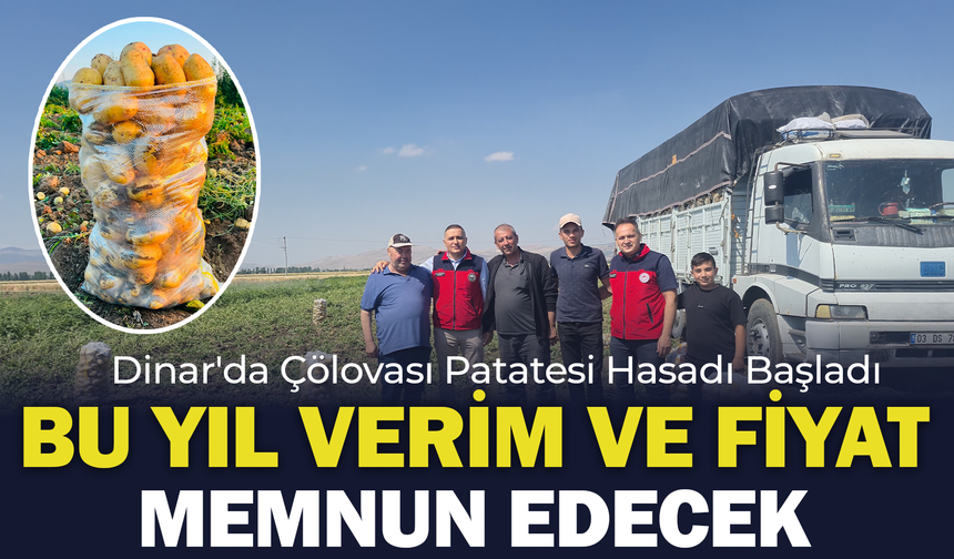 Dinar'da Çölovası Patatesi Hasadı Başladı