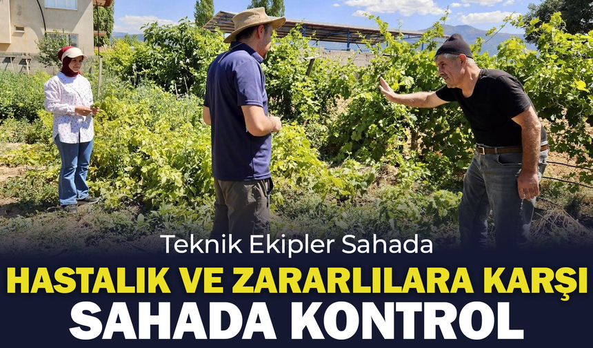 Tarım Arazilerinde Denetim Mesaisi: Hastalık ve Zararlılara Karşı Sahada Kontrol