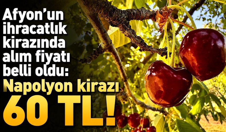 Afyon’un ihracatlık kirazında alım fiyatı belli oldu: Napolyon kirazı 60 TL!