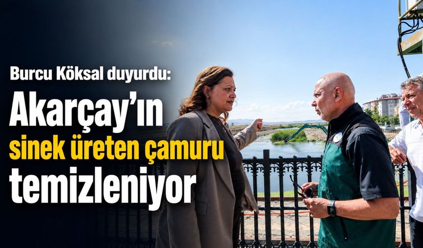 Burcu Köksal duyurdu: Akarçay'ın sinek üreten çamuru temizleniyor