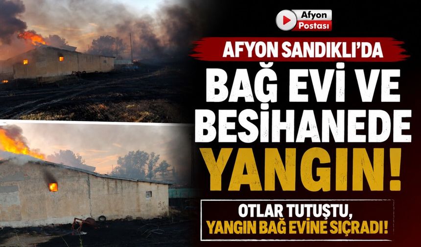 Afyon Sandıklı'da bağ evi ve besihanede yangın: Otlar tutuştu, yangın bağ evine sıçradı!