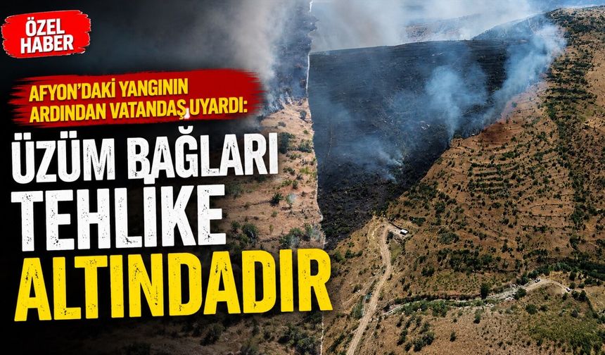 Afyon'daki yangının ardından vatandaş uyardı: "Üzüm bağları tehlike altındadır"