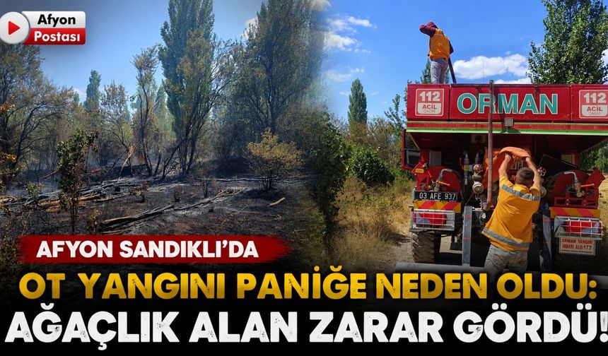 Afyon Sandıklı'da ot yangını paniğe neden oldu: Ağaçlık alan zarar gördü!