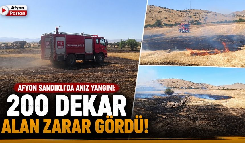 Afyon Sandıklı'da anız yangını: 200 dekar alan zarar gördü!