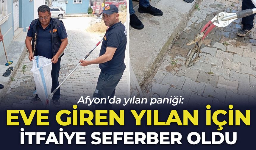 Afyon’da yılan paniği: Eve giren yılan için itfaiye seferber oldu