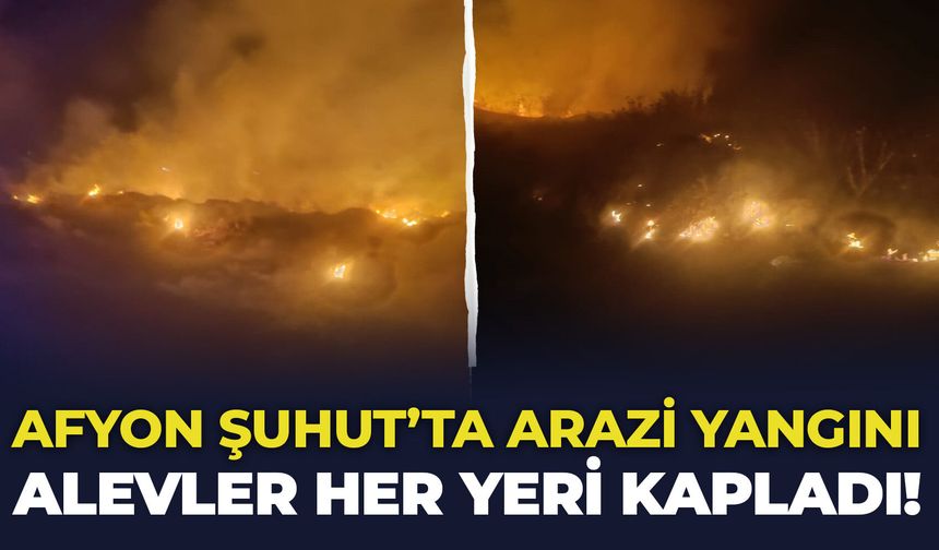 Afyon Şuhut’ta arazi yangını: Alevler her yeri kapladı!