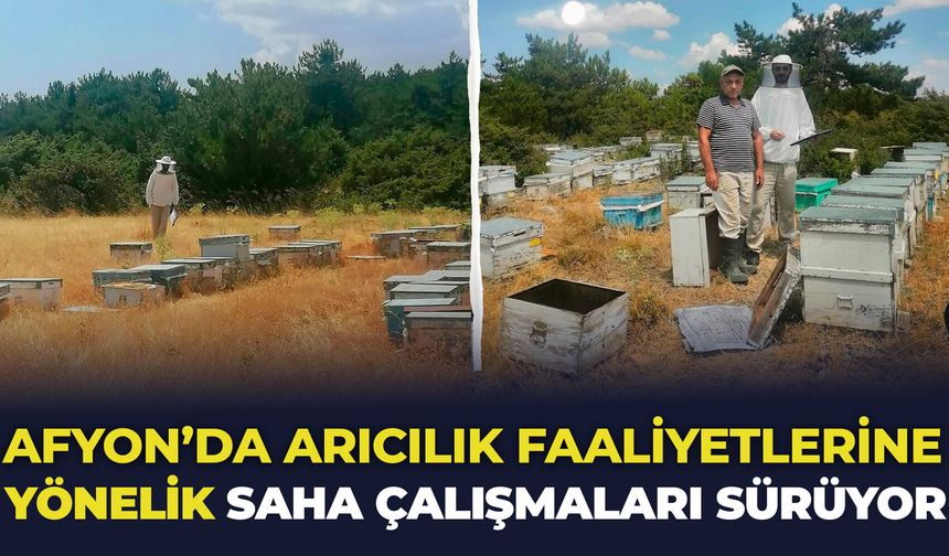 Afyon'da arıcılık faaliyetlerine yönelik saha çalışmaları sürüyor