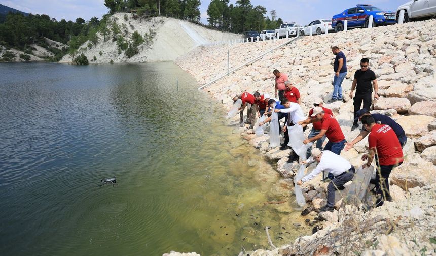 Denizli'de Balıklandırma Rekoru: 2020'de 117 Bin Olan Yavru Sazan Sayısı 2026'da 1 Milyon 386 Bine Ulaştı