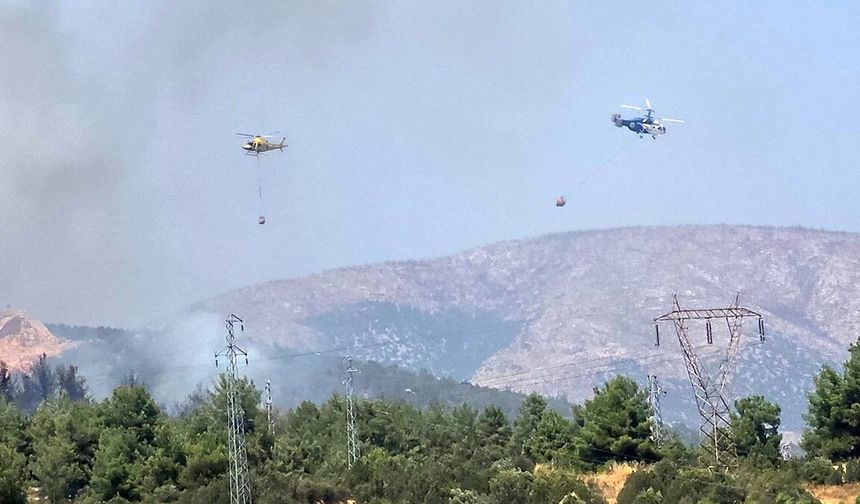 Bilecik Son Dakika: Bilecik’te orman yangını! Alevlere havadan müdahale