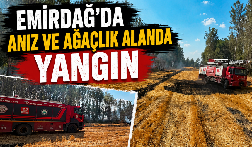 Emirdağ’da anız ve ağaçlık alanda yangın