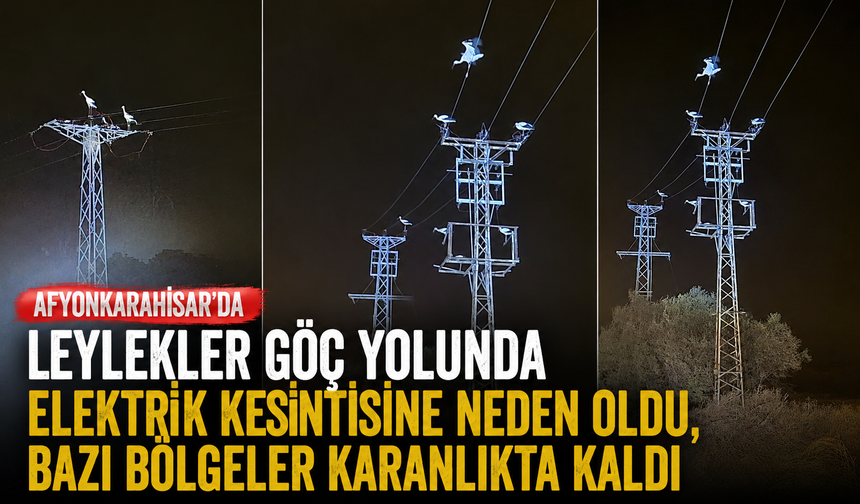 Afyonkarahisar'da leylekler göç yolunda elektrik kesintisine neden oldu, bazı bölgeler karanlıkta kaldı