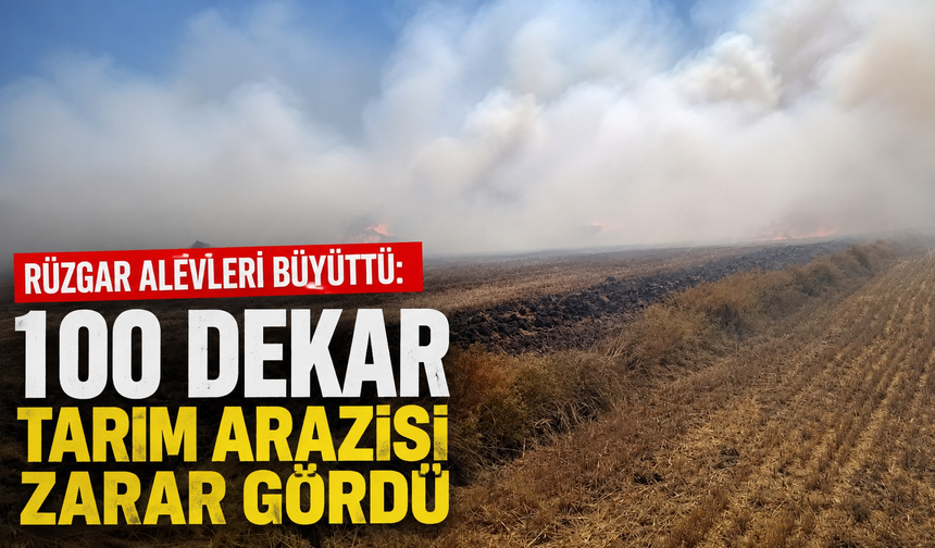 Sandıklı’da anız yangını: 100 dekar tarım arazisi zarar gördü