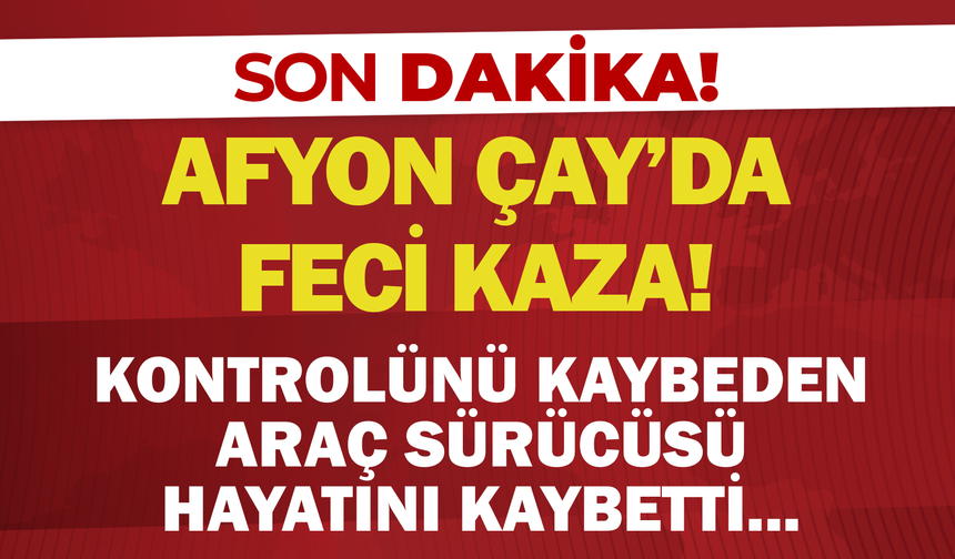 Afyon Çay'da Feci Kaza: Kontrolünü Kaybeden Araç Sürücüsü Hayatını Kaybetti...