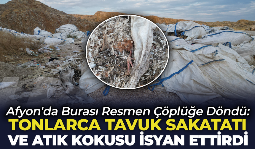 Afyon'da Burası Resmen Çöplüğe Döndü: Tonlarca Tavuk Sakatatı ve Atık Kokusu İsyan Ettirdi!