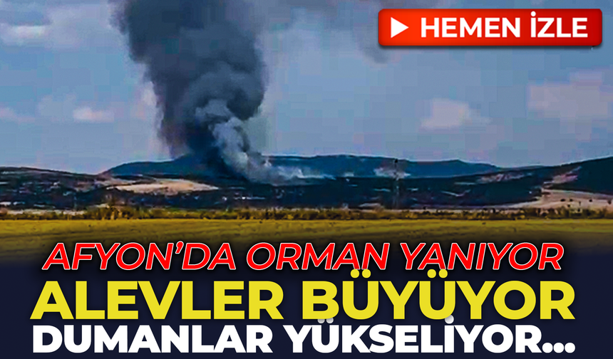 Afyon’da orman yanıyor: Alevler büyüyor, dumanlar yükseliyor!