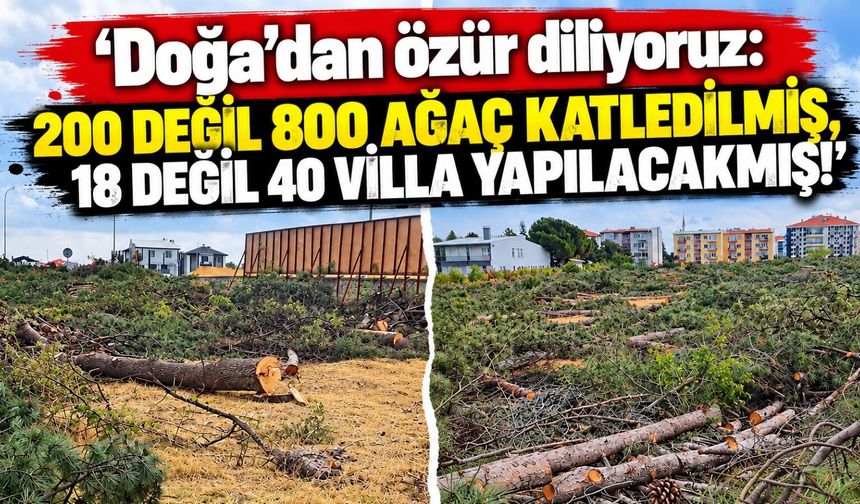 ‘Doğa’dan özür diliyoruz: 200 değil 800 ağaç katledilmiş, 18 değil 40 villa yapılacakmış!’