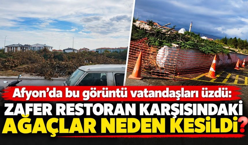 Afyon’da bu görüntü vatandaşları üzdü: Zafer Restoran karşısındaki ağaçlar neden kesildi?