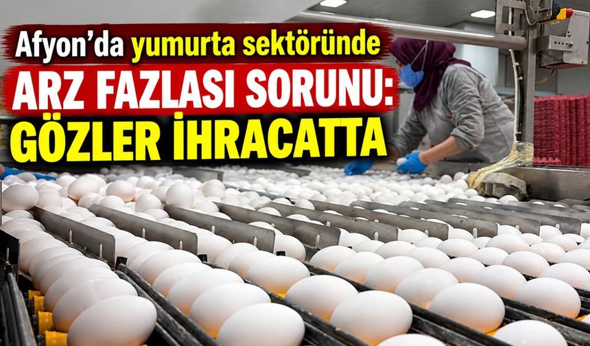 Afyon’da yumurta sektöründe arz fazlası sorunu: Gözler ihracatta