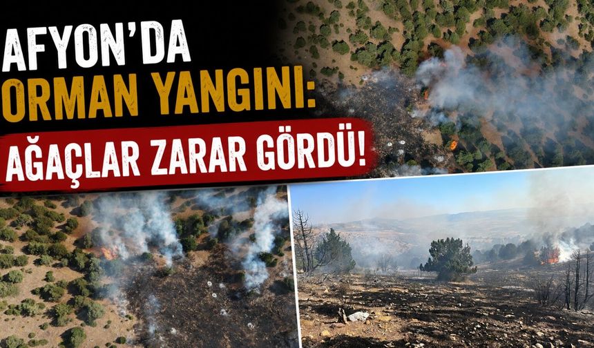 Afyon’da orman yangını: Ağaçlar zarar gördü!