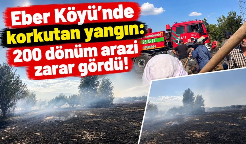 Eber Köyü'nde korkutan yangın: 200 dönüm arazi zarar gördü!