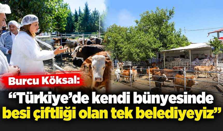 Burcu Köksal: “Türkiye’de kendi bünyesinde besi çiftliği olan tek belediyeyiz”
