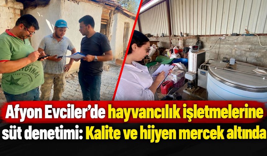 Afyon Evciler'de hayvancılık işletmelerine süt denetimi: Kalite ve hijyen mercek altında