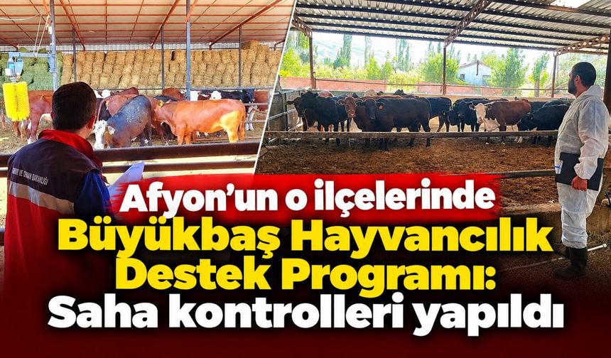 Afyon’un o ilçelerinde Büyükbaş Hayvancılık Destek Programı: Saha kontrolleri yapıldı