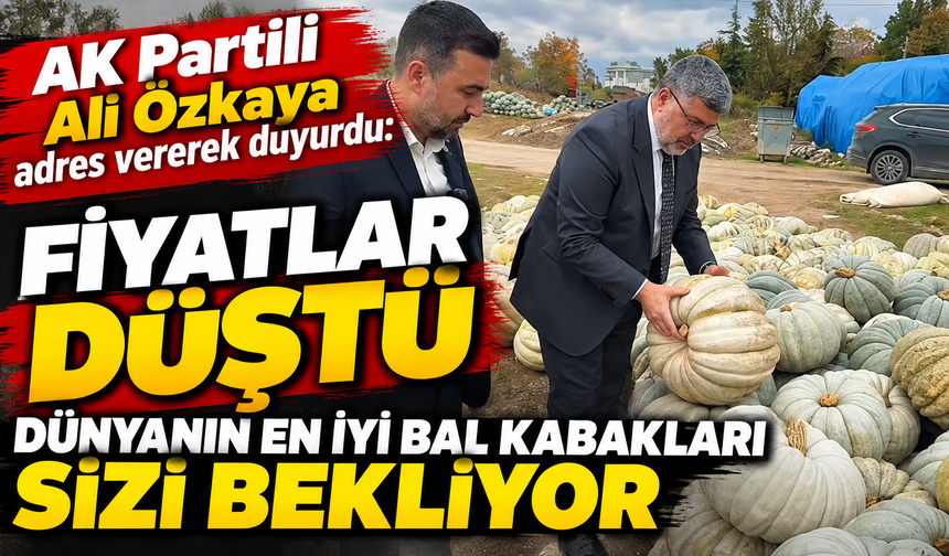 AK Partili Ali Özkaya adres vererek duyurdu: Fiyatlar düştü, dünyanın en iyi bal kabakları sizi bekliyor