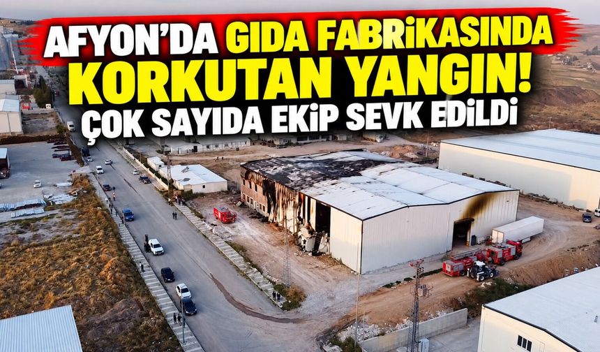 Afyon'da gıda fabrikasında korkutan yangın! Çok sayıda ekip sevk edildi