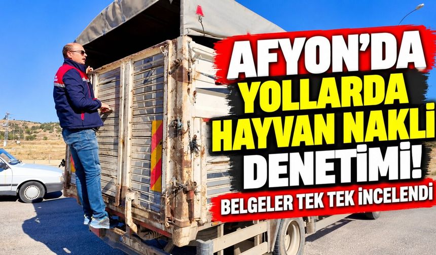 Afyon'da yollarda hayvan nakli denetimi! Belgeler tek tek incelendi
