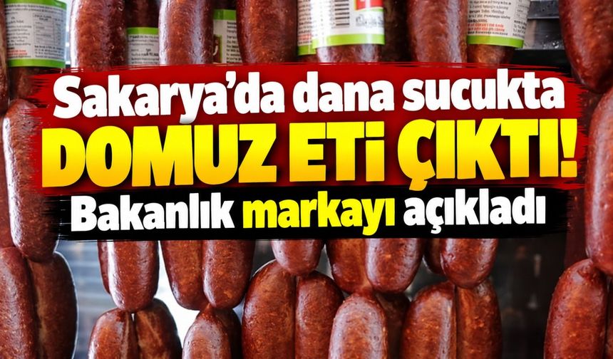Dana sucukta domuz eti çıktı! Bakanlık markayı açıkladı