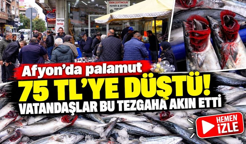 Afyon'da palamut 75 TL'ye düştü! Vatandaşlar bu tezgâha akın etti