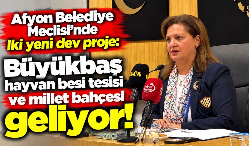 Afyon Belediye Meclisi'nde iki yeni dev proje: Büyükbaş hayvan besi tesisi ve millet bahçesi geliyor!
