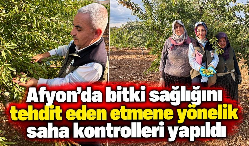 Afyon'da bitki sağlığını tehdit eden etmene önelik saha kontrolleri yapıldı