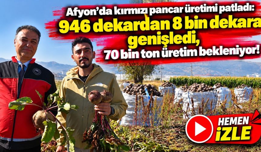 Afyon’da kırmızı pancar üretimi patladı: 946 dekardan 8 bin dekara genişledi, 70 bin ton üretim bekleniyor!