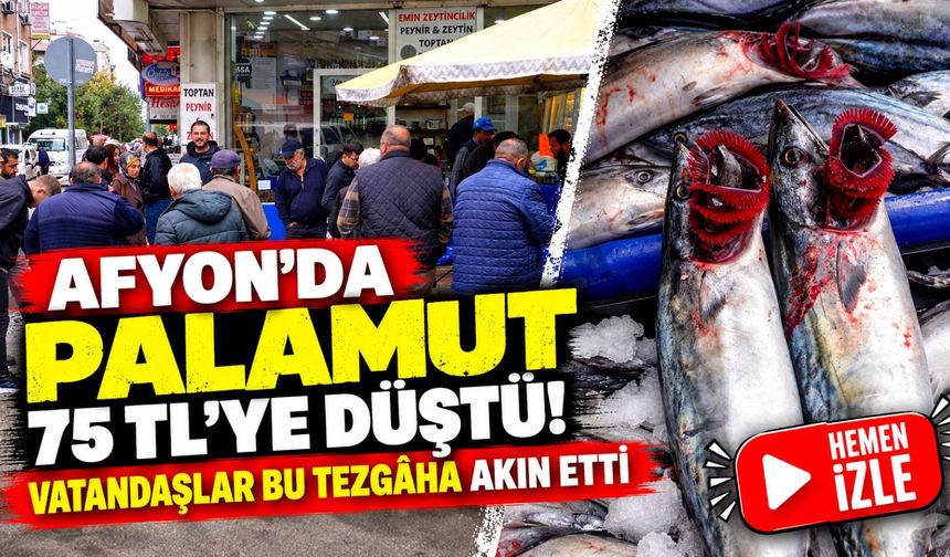 Afyon'da palamut 75 TL'ye düştü! Vatandaşlar bu tezgâha akın etti