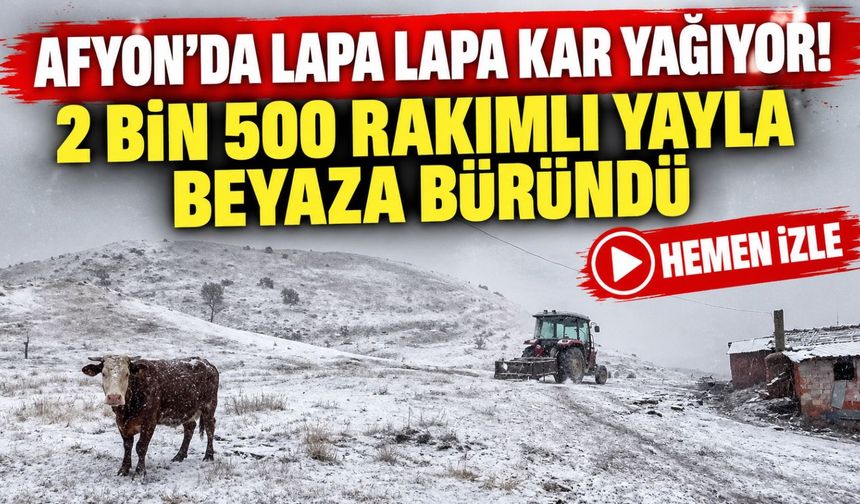 Afyon'da lapa lapa kar yağıyor! 2 bin 500 rakımlı yayla beyaza büründü