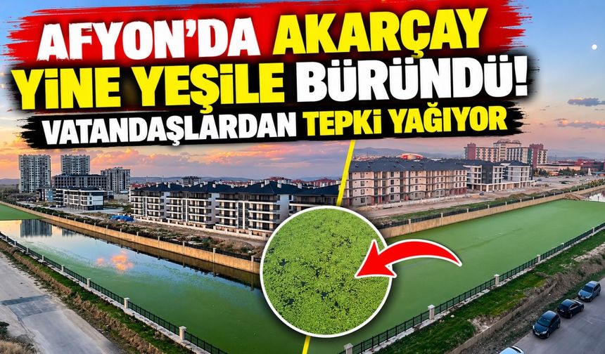 Afyon'da Akarçay yine yeşile büründü! Vatandaşlardan tepki yağıyor