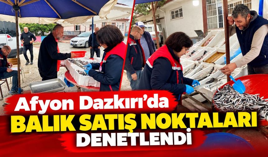 Afyon Dazkırı'da balık satış noktaları denetlendi